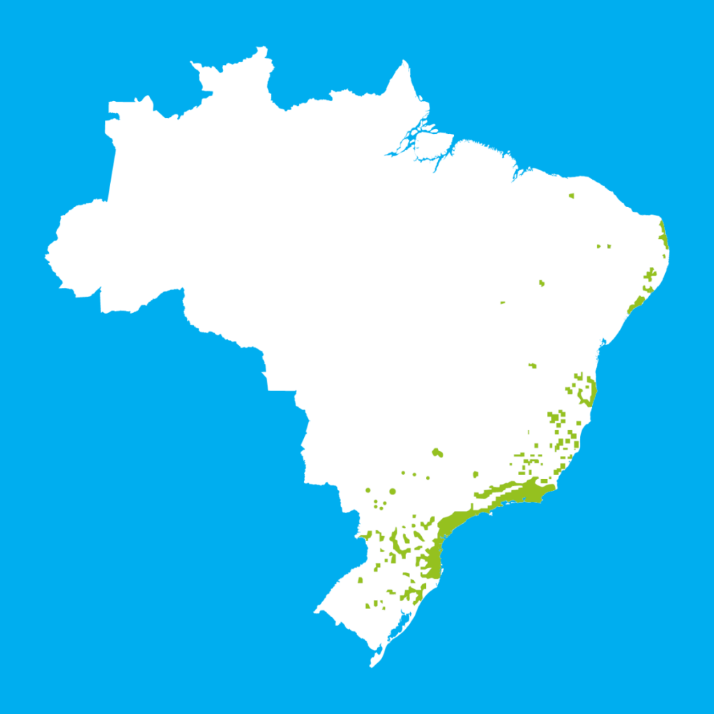 Mapa da área atual da Mata Atlântica no Brasil