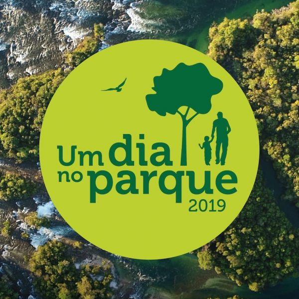Logotipo da campanha "Um dia no parque 2019"
