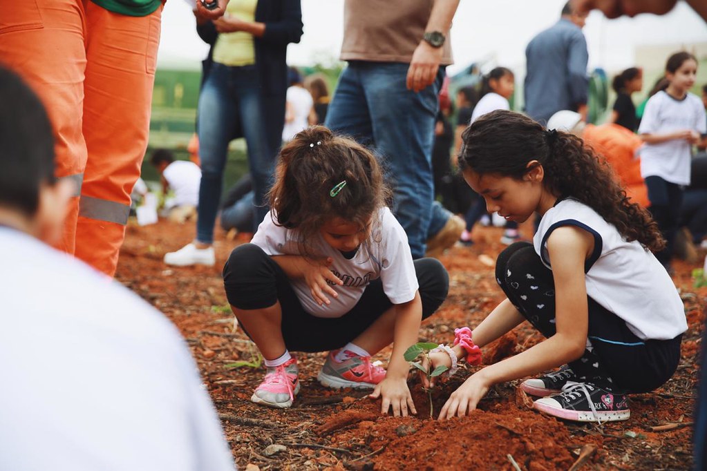Crianças plantando muda no Bosque Bem-te-vi