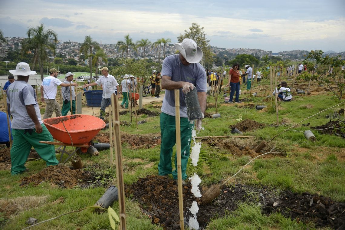Funcionários da prefeitura do Rio plantando mudas na Floresta dos Atletas
