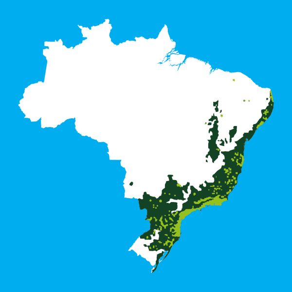 Mapa da área original da Mata Atlântica no ano 1500